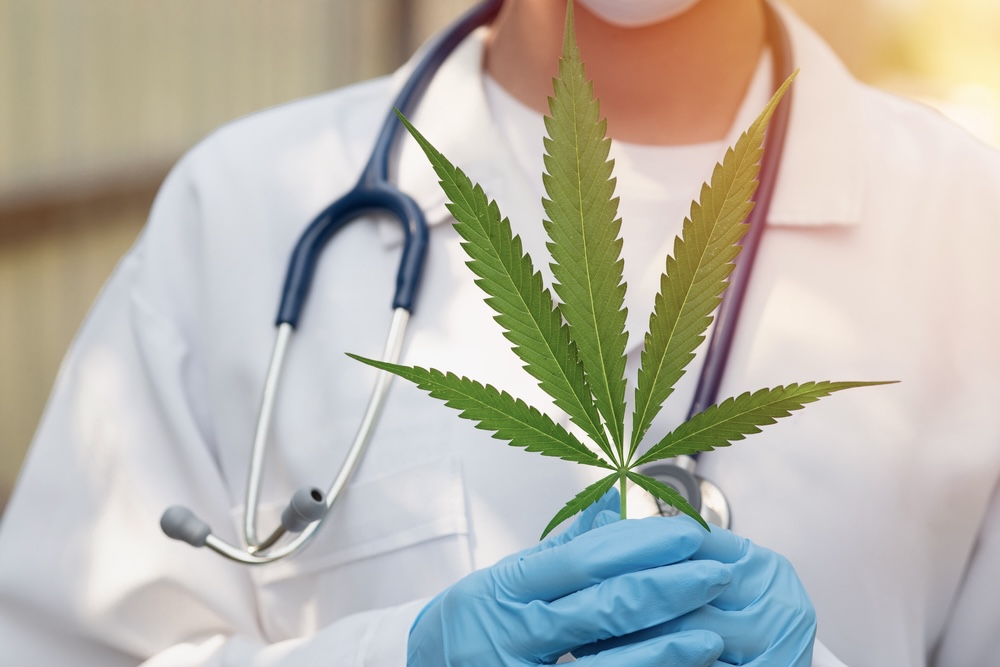 Doctor holding a marijuana leaf